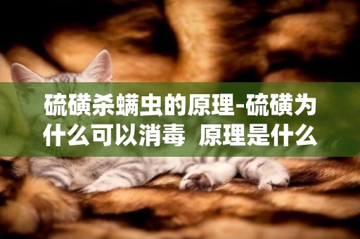 硫磺殺螨蟲的原理-硫磺為什么可以消毒  原理是什么