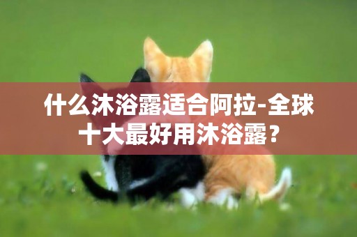 什么沐浴露適合阿拉-全球十大最好用沐浴露？