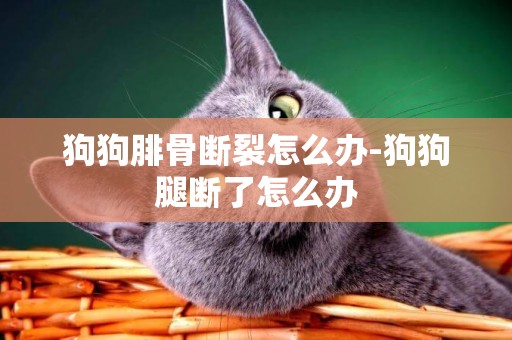 狗狗腓骨斷裂怎么辦-狗狗腿斷了怎么辦