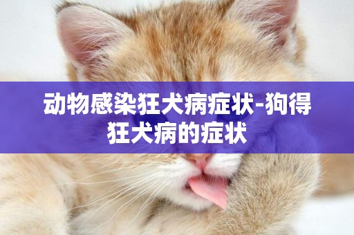 動物感染狂犬病癥狀-狗得狂犬病的癥狀