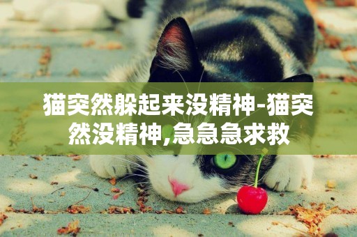 貓突然躲起來沒精神-貓突然沒精神,急急急求救