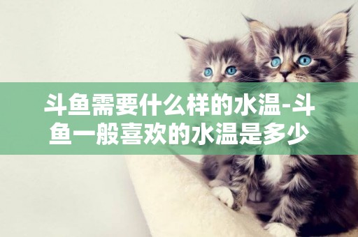 斗魚需要什么樣的水溫-斗魚一般喜歡的水溫是多少