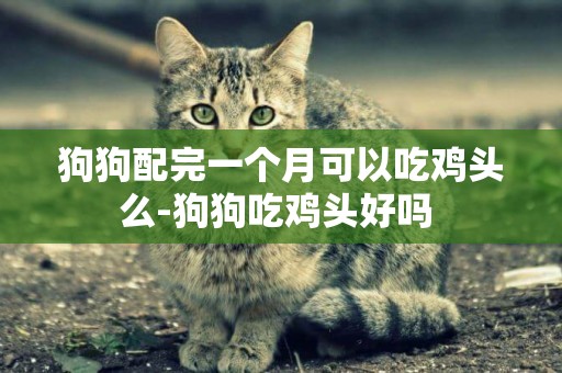 狗狗配完一個月可以吃雞頭么-狗狗吃雞頭好嗎 