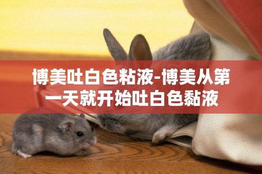 博美吐白色粘液-博美從第一天就開始吐白色黏液