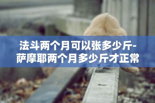 法斗兩個月可以張多少斤-薩摩耶兩個月多少斤才正常啊？