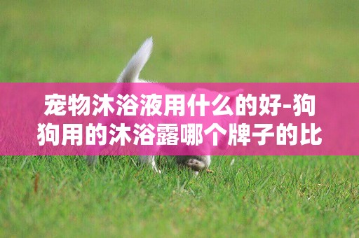 寵物沐浴液用什么的好-狗狗用的沐浴露哪個牌子的比較好？