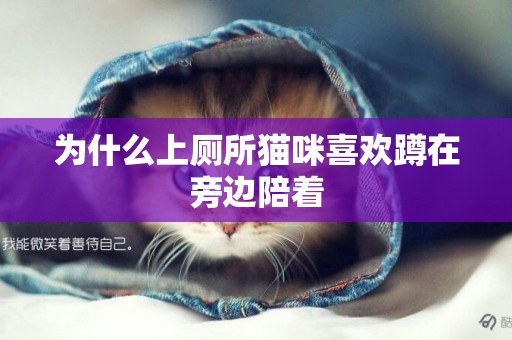 為什么上廁所貓咪喜歡蹲在旁邊陪著