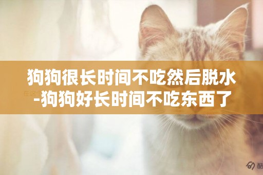 狗狗很長時間不吃然后脫水-狗狗好長時間不吃東西了