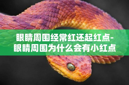 眼睛周圍經常紅還起紅點-眼睛周圍為什么會有小紅點呢
