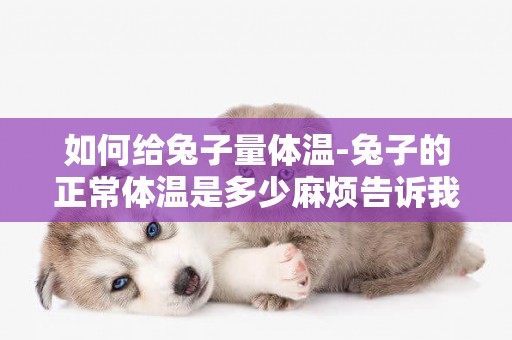 如何給兔子量體溫-兔子的正常體溫是多少麻煩告訴我