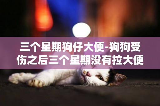 三個星期狗仔大便-狗狗受傷之后三個星期沒有拉大便了