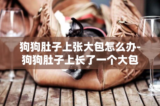 狗狗肚子上張大包怎么辦-狗狗肚子上長了一個大包