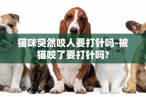 貓咪突然咬人要打針嗎-被貓咬了要打針嗎?