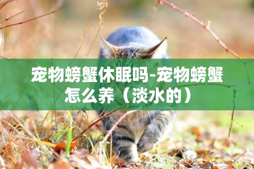 寵物螃蟹休眠嗎-寵物螃蟹怎么養（淡水的）