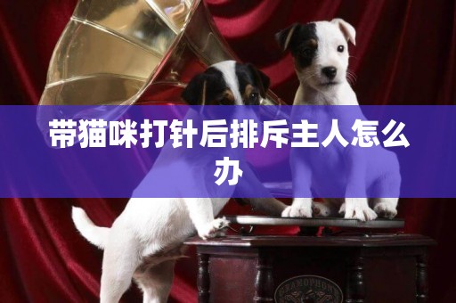 帶貓咪打針后排斥主人怎么辦