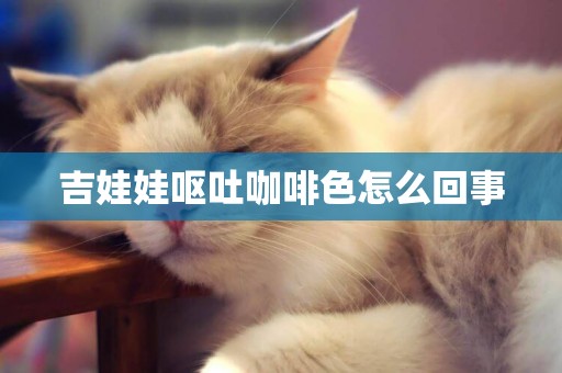 吉娃娃嘔吐咖啡色怎么回事