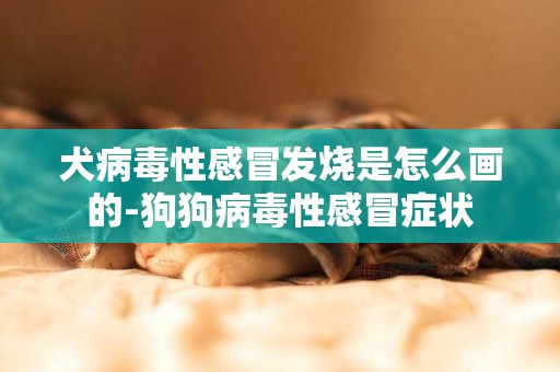 犬病毒性感冒發燒是怎么畫的-狗狗病毒性感冒癥狀