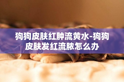 狗狗皮膚紅腫流黃水-狗狗皮膚發紅流膿怎么辦