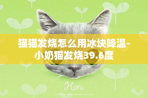 貓貓發燒怎么用冰塊降溫-小奶貓發燒39.6度