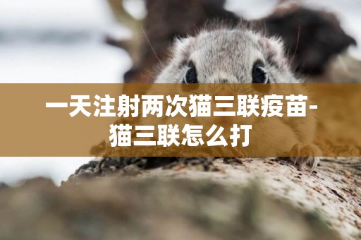 一天注射兩次貓三聯疫苗-貓三聯怎么打