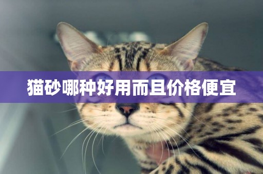 貓砂哪種好用而且價格便宜