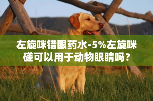左旋咪錯眼藥水-5%左旋咪磋可以用于動物眼睛嗎？