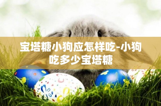 寶塔糖小狗應怎樣吃-小狗吃多少寶塔糖