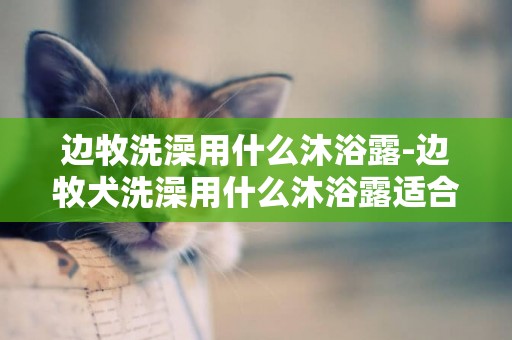 邊牧洗澡用什么沐浴露-邊牧犬洗澡用什么沐浴露適合呢？