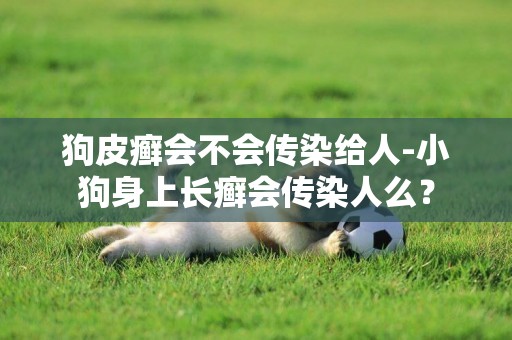 狗皮癬會不會傳染給人-小狗身上長癬會傳染人么？
