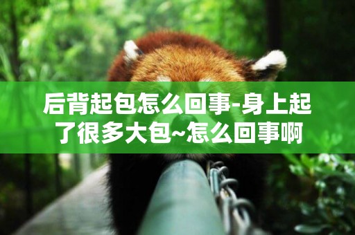 后背起包怎么回事-身上起了很多大包~怎么回事啊