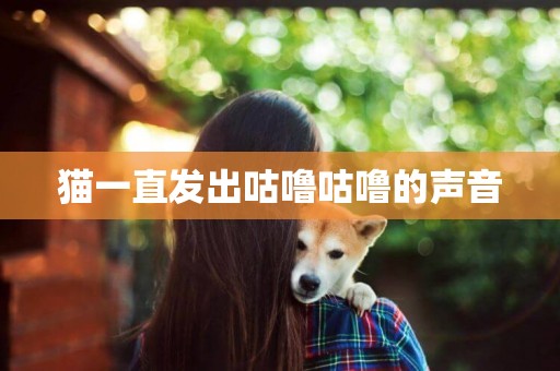貓一直發出咕嚕咕嚕的聲音