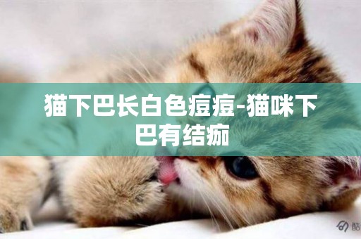 貓下巴長白色痘痘-貓咪下巴有結痂