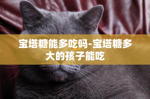 寶塔糖能多吃嗎-寶塔糖多大的孩子能吃