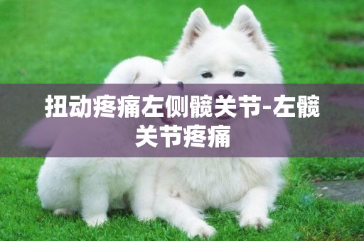 扭動疼痛左側髖關節-左髖關節疼痛