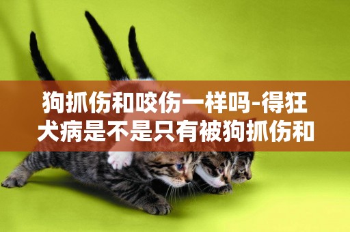 狗抓傷和咬傷一樣嗎-得狂犬病是不是只有被狗抓傷和咬傷