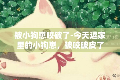 被小狗崽咬破了-今天逗家里的小狗崽，被咬破皮了