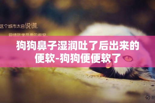 狗狗鼻子濕潤吐了后出來的便軟-狗狗便便軟了