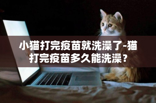 小貓打完疫苗就洗澡了-貓打完疫苗多久能洗澡？