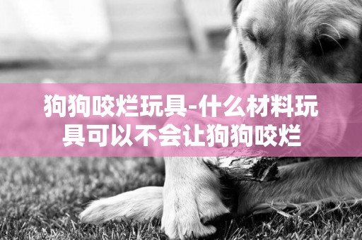 狗狗咬爛玩具-什么材料玩具可以不會讓狗狗咬爛
