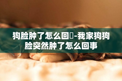 狗臉腫了怎么回亊-我家狗狗臉突然腫了怎么回事