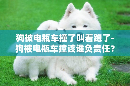 狗被電瓶車撞了叫著跑了-狗被電瓶車撞該誰負責任？