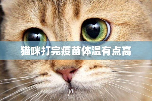 貓咪打完疫苗體溫有點高