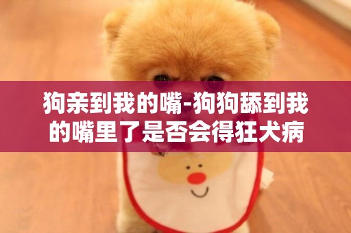 狗親到我的嘴-狗狗舔到我的嘴里了是否會得狂犬病