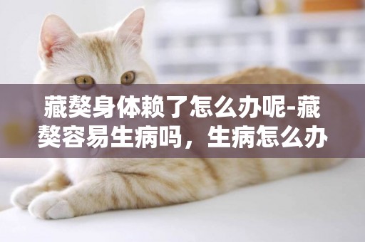 藏獒身體賴了怎么辦呢-藏獒容易生病嗎，生病怎么辦
