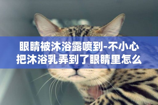 眼睛被沐浴露噴到-不小心把沐浴乳弄到了眼睛里怎么弄?