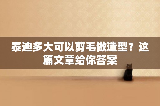 泰迪多大可以剪毛做造型？這篇文章給你答案