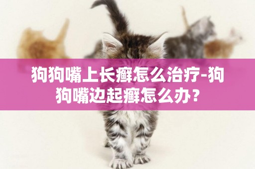狗狗嘴上長癬怎么治療-狗狗嘴邊起癬怎么辦？