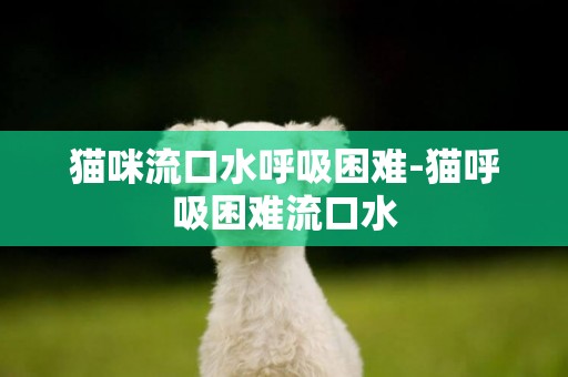 貓咪流口水呼吸困難-貓呼吸困難流口水