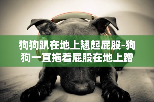 狗狗趴在地上翹起屁股-狗狗一直拖著屁股在地上蹭