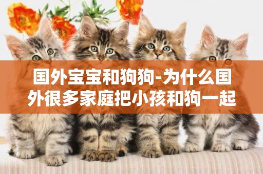 國外寶寶和狗狗-為什么國外很多家庭把小孩和狗一起玩